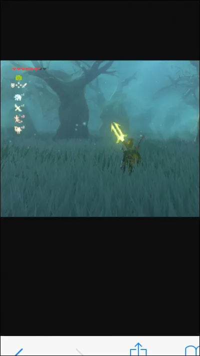 La lame purificatrice se situe dans la forêt Korogu mais autour de cette forêt il y a un bois ; comment s'appelle-t-il ?