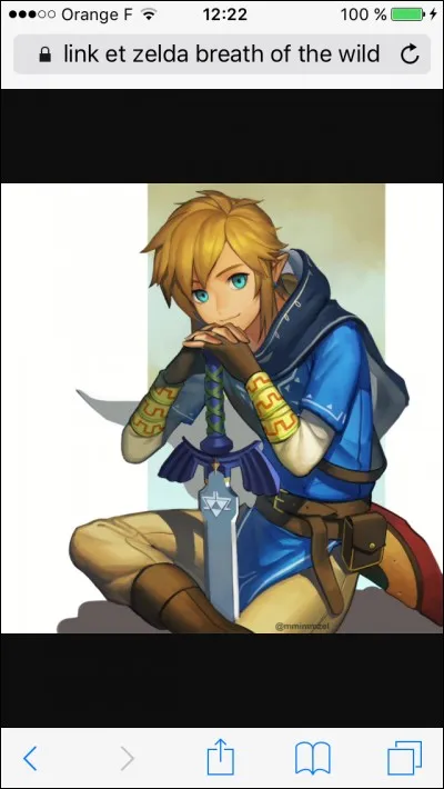 Quelle est la plus grande qualité de Link ?