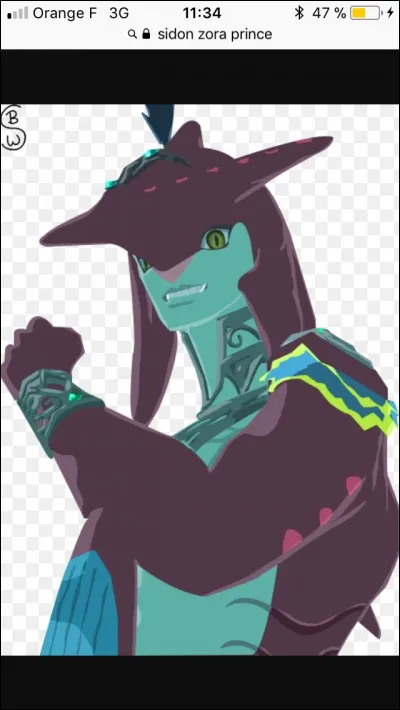 Le prodige des Zoras (Mipha) a un petit frère ; comment s'appelle-t-il ?