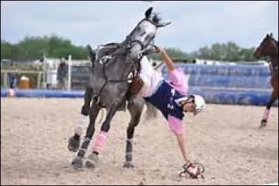 Qu'est-ce qui est représenté sur la photo ?