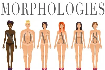 Comment caract&eacute;riseriez-vous votre silhouette ?