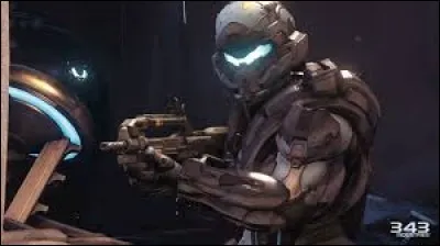 Comment sont appelés les nouveaux Spartans ?