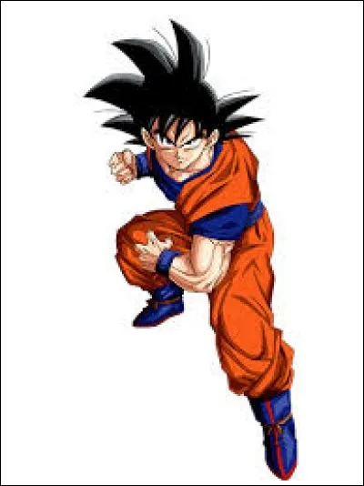 Ce personnage est un...