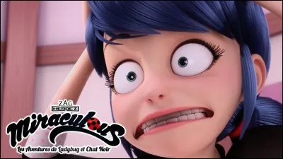 Marinette d&eacute;teste...