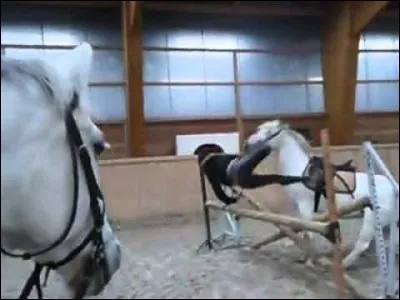 (Partie 2) Lorsque je tombe :