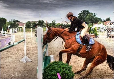 Quand mon cheval refuse l'obstacle :