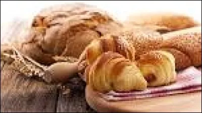 Quelle sorte de vidéos font Roxane et Louane ?