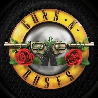 Dans le nom du groupe Gun's N' Roses, on sait que Roses vient du pseudo du chanteur Axl (sans "e") Rose, mais pourquoi le "Gun's" ?