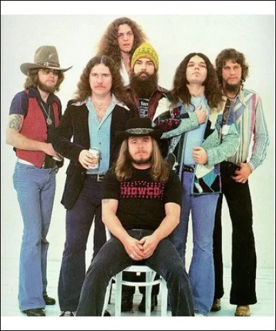 Quelle est la catastrophe qui est arrivée au groupe Lynyrd Skynyrd ?