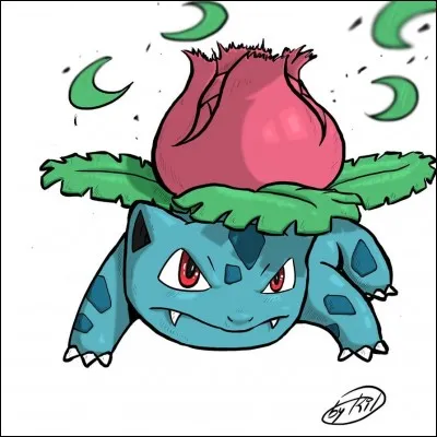 Quelle est son évolution ?