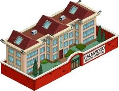 Quel hôpital est-ce ?