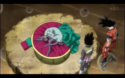 Combien de temps Beerus a-t-il dormi ?