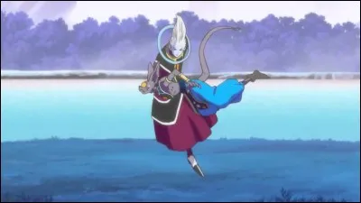 Par où passent d'abord Whis et Beerus ?