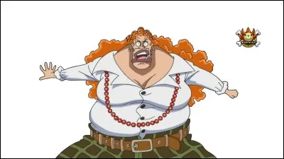 Ce personnage a élevé Luffy, Sabo et Ace, mais qui est-ce ?