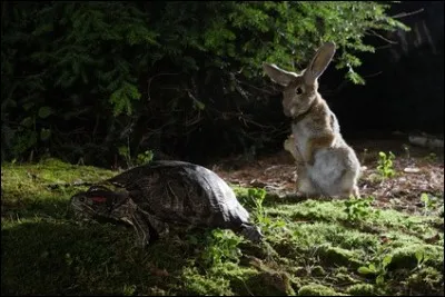 Essentiel pour les sportifs quand il est lent.