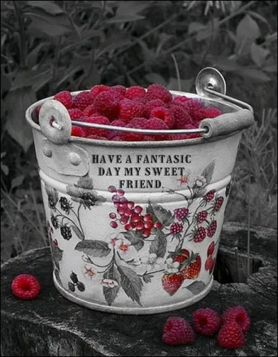 Quelle variété de framboises peut porter le nom d'une pomme de terre ?