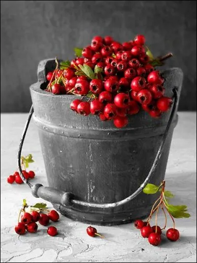 Lequel de ces fruits n'est pas une baie rouge ?