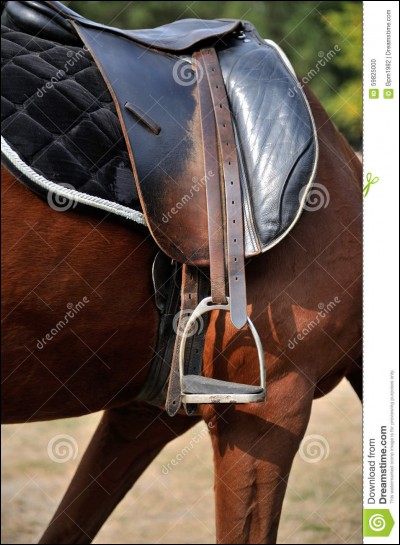 Comment s'appelle l'endroit où tu mets les pieds quand tu es sur ton cheval ?
