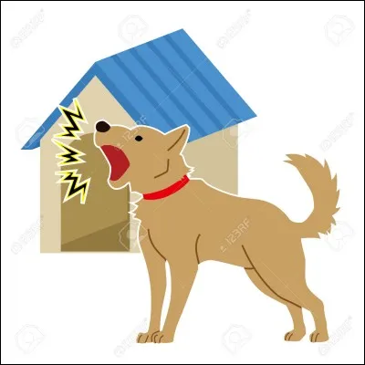 Qui punis-tu si ton chien aboie après ton cheval ?