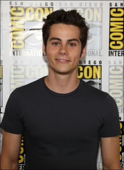 Il est connu pour avoir joué le rôle de "Stiles Stilinski" dans la série Teen Wolf :