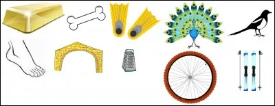 Que ne voit-on pas pas dans l'image ?