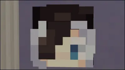 À qui appartient cette tête ?