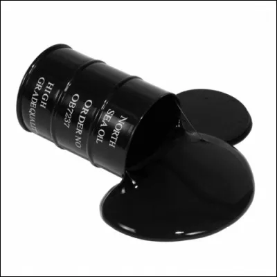 Le pétrole est issu des plantes préhistoriques.