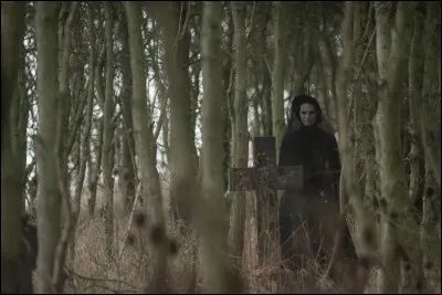 Quel est le titre du film ?