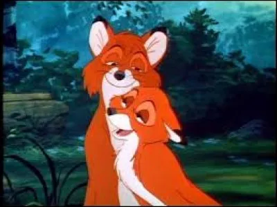 Au début des amis, ce renard possède un grand coeur ouvert et est tout de suite charmé par celle qui deviendra la mère de ses enfants.