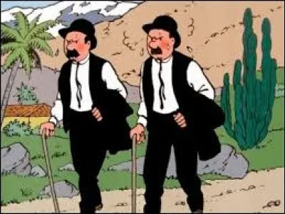 Ils sont pratiquement pareils, sauf pour leur nom. Ce sont de peu brillants détectives, je dirais même plus, des détectives brillants peu ...