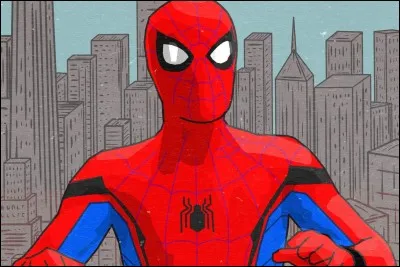 Il a des super-pouvoirs et combat le mal. Agile et puissant, il adhère aux murs et se déplace grâce à sa fascinante toile.