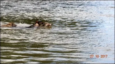 S'égayer, se réjouir !