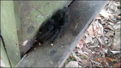 De privilèges ou d'une bonne santé !