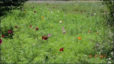 Suivre, couler, secréter !