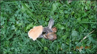 Sur quelqu'un ou sur les doigts !