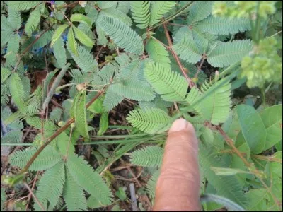 Faire savoir ou faire venir !