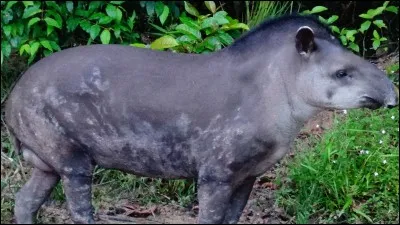 Commençant par une consonne : Retirer, soustraire, enlever, déduire !