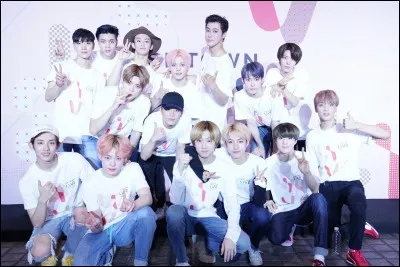 Quel est ce groupe ?