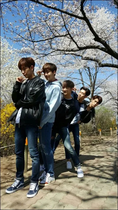 Quel est ce groupe ?