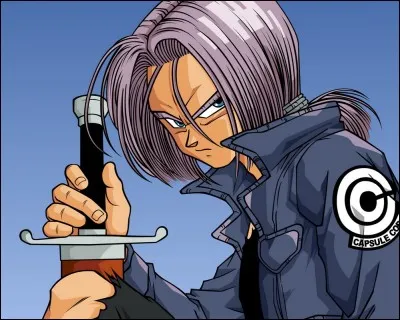 Combien de temps après l'annonce de Trunks arrivent les cyborgs ?