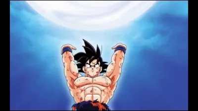 Qui a eu l'idée d'utiliser le Genkidama sur Buu ?