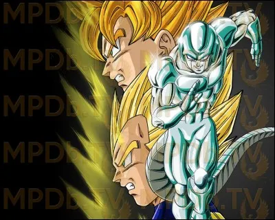 Dans l'OAV "Cent mille guerriers de métal", comment Goku et Vegeta arrivent-ils à tuer Metal Cooler ?