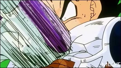 Quelle est la réaction de Vegeta après avoir vu que Freezer est beaucoup plus fort que lui ?
