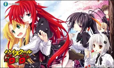 Comment se nomme la saison 2 de High School DxD ?
