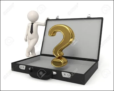 Si l'on compare ce modeste quiz à d'autres quiz de l'auteure, finement travaillés et décorés, que peut-on dire ?