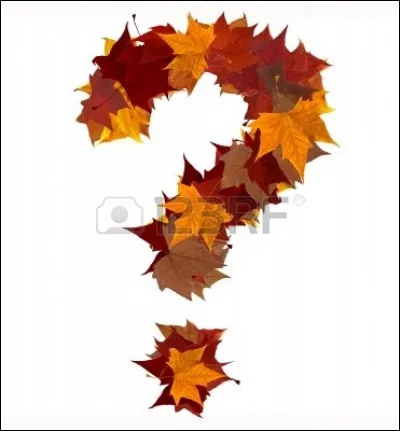 Vous êtes satisfaits de ce quiz :