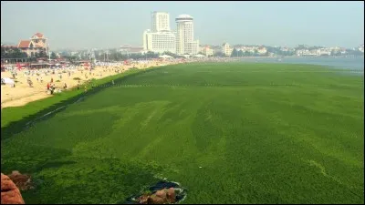 Outre la Chine, quel pays est bordé par la mer Jaune ?
