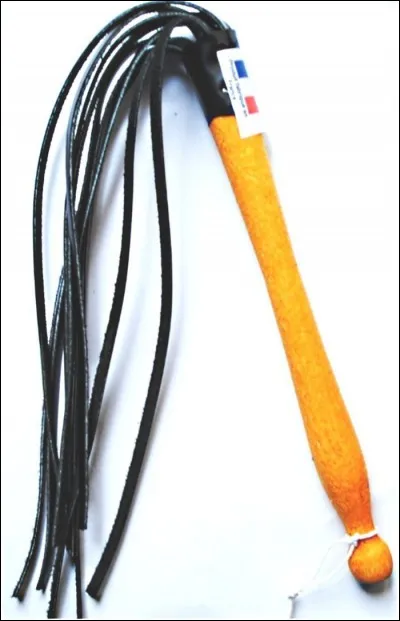 Quel nom d'oiseau désigne aussi un fouet à plusieurs lanières de cuir ?