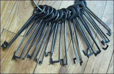 Quel nom d'oiseau désigne aussi un crochet dont se servent les serruriers et les cambrioleurs pour ouvrir les serrures ?