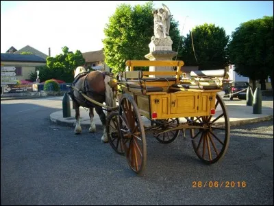 Automobile ... ou presque ! On dirait une ...